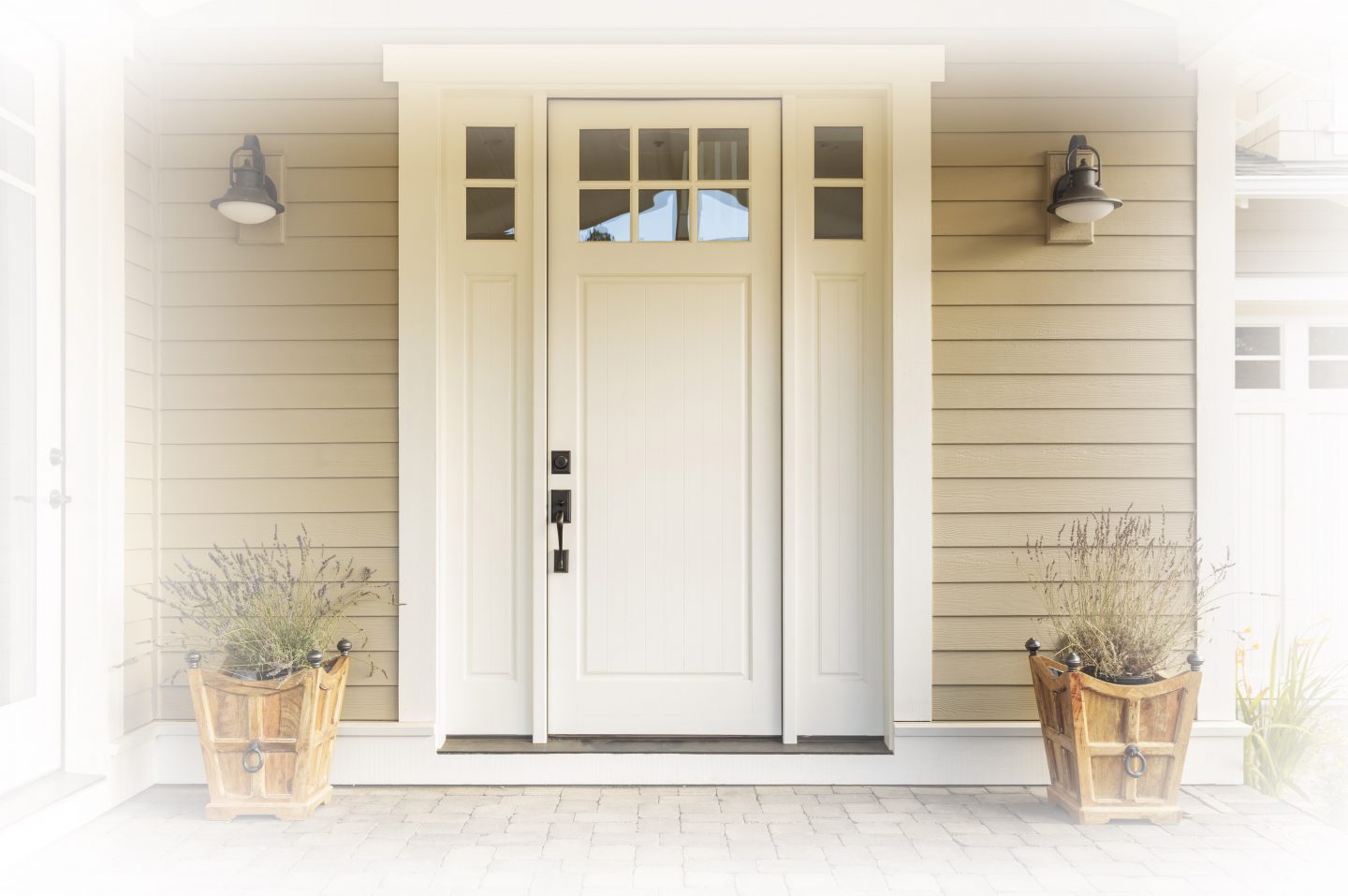 shutterstock 507466978 1 scaled